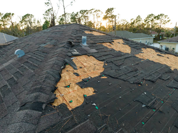 Best Wood Shake Roofing  in Lake Arrowhead, CA