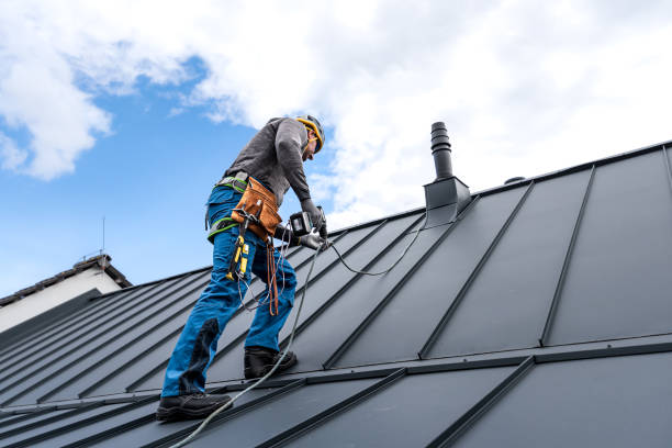 Best Skylight Installation and Repair  in Lake Arrowhead, CA